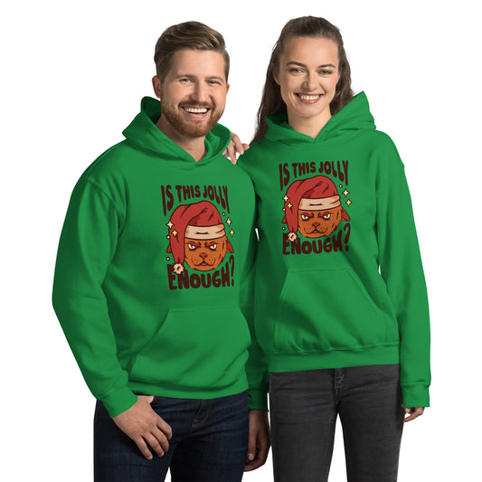 Anti Christmas Cat Hoodie - Funny Foundry